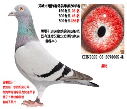 500�����λ�ɼ��루�Ǳȣ��ٶ����������壩