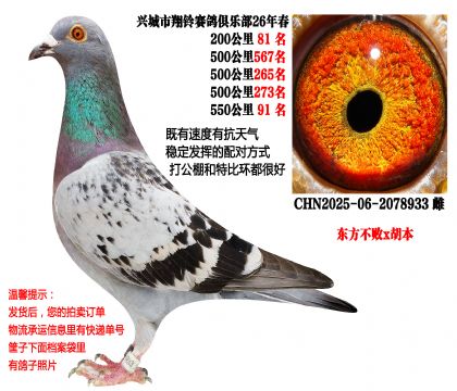 4��500��������ɼ��루��������x������