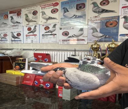 16.�����ָ�544