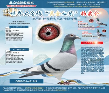 穆罕默德·阿尔曼奈原舍-卡塔尔”梅西17”