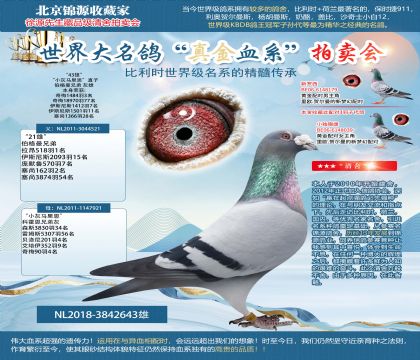 伯格曼兄弟原舍“小灰马里恩”直子-奇梅18970羽77名