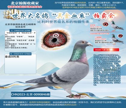 年轻宇宙号直孙-詹森X利奥23-0090846雌
