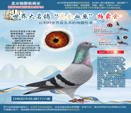 北京爱亚卡普公棚三关综合135名