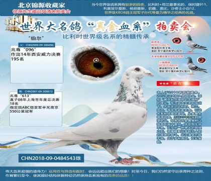 兆尊馆原舍-伯尔(注:一侧眼睛失明)