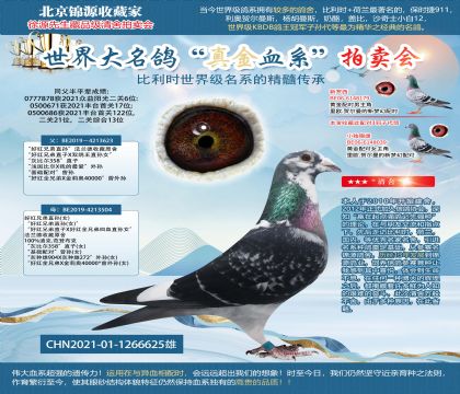 利奥轩原舍-灰比尔直孙