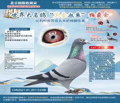 利奥-萨菲尔直子X新梦幻配对直女21-2011534雄