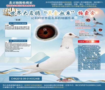 兆尊馆原舍-安迪