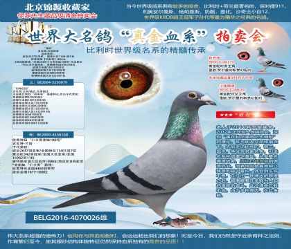 吉瓦特兰努原舍-波治2637羽亚军-国家分区11401羽7名