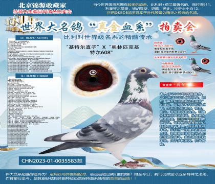 基特尔直子X006直女23-0035583雄