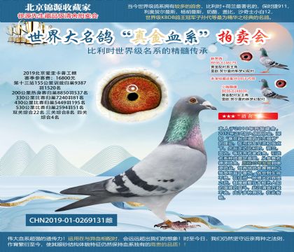 北京爱亚卡普工棚四关综合4名
