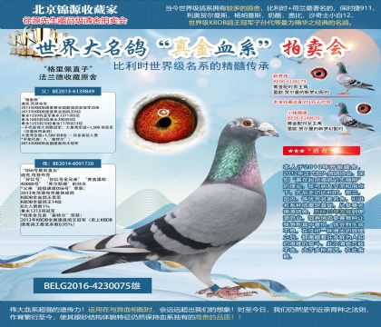 法兰德收藏原舍-格里佩直子