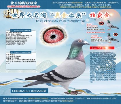 卡普基特尔23-0035569雄