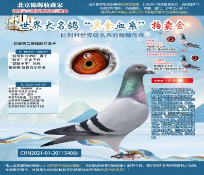 奶酪第二基础配对直子21-2011540雄