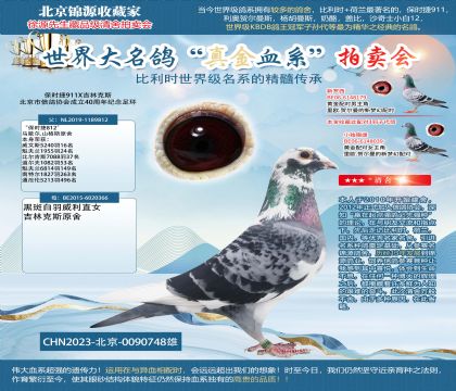 山格斯保时捷X吉林克斯23-0090748雄