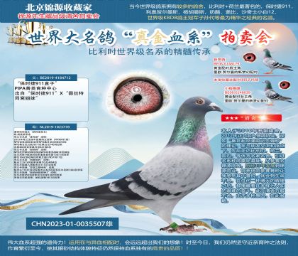 保时捷911直子X漂亮哈利直女23-0035507雄