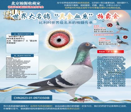保时捷911直子X漂亮哈利直女23-0973350雄