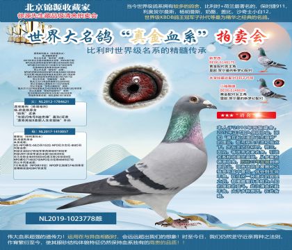 杨胡曼斯原舍-漂亮哈利直女(哈利直孙女)
