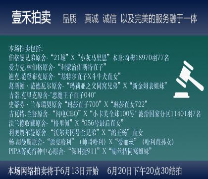 拍前建议阅读此说明