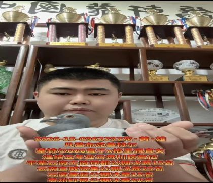 龍轩钻石配对!凡登布克“奥林匹克006”直子X“格里佩”直女