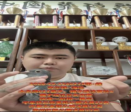 当今公棚赢钱利器!吉尔特.海伦帽子戏法直孙X帽子戏法孙女