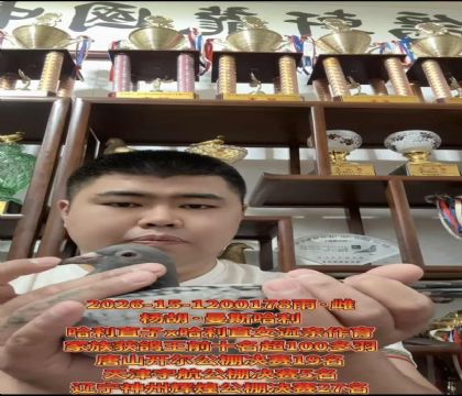 当今公棚利器!杨胡曼斯哈利直子X哈利直女近亲作育