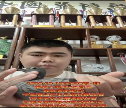 龍轩“钻石配对”十冠王X五冠王