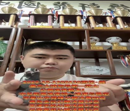 桑杰士狼狗号第一武士/龍轩黄金配对作育