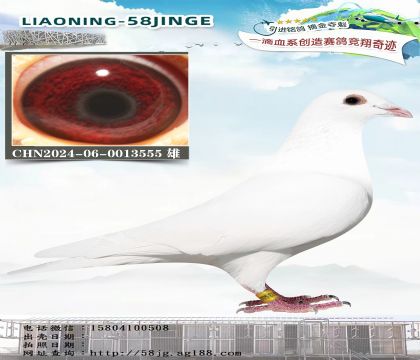 乔斯佛卡门“白色幽灵”555