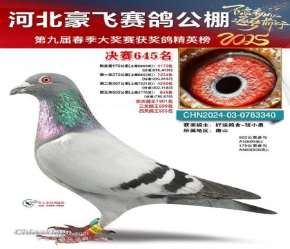 秦皇岛豪飞赛鸽公棚500公里决赛645名 雄