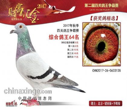 山西榆林财富汇金四关鸽王争霸赛综合鸽王64名 雄