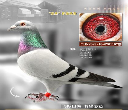 �Ǳȶ�ظ���С����107