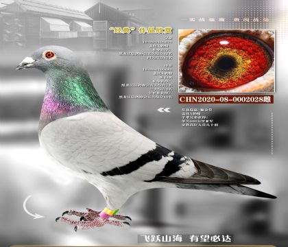������Ӯ��������2028