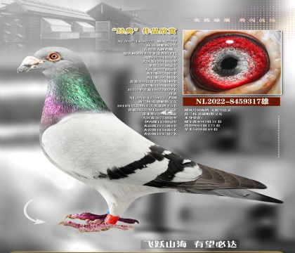 쫷����޺ż���371