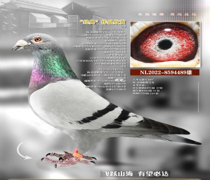 ���޺ż���489