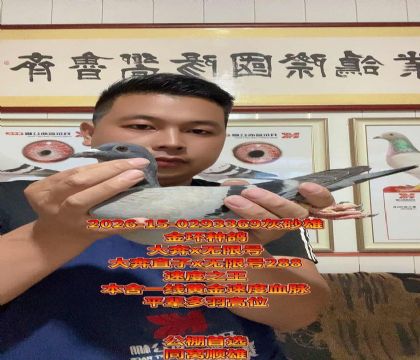 ��x���޺�288��ͬ��˳�ۣ��߼�