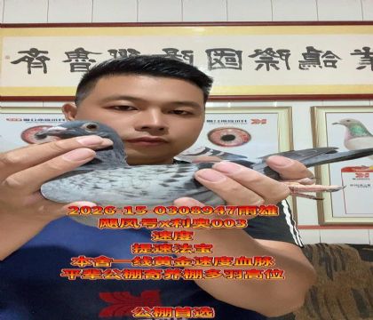 쫷��x����003���ƽ���Լ��壡�ٶ�
