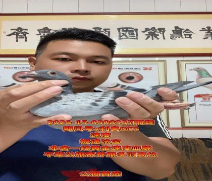 쫷��x����003���ƽ���Լ��壡�ٶ�