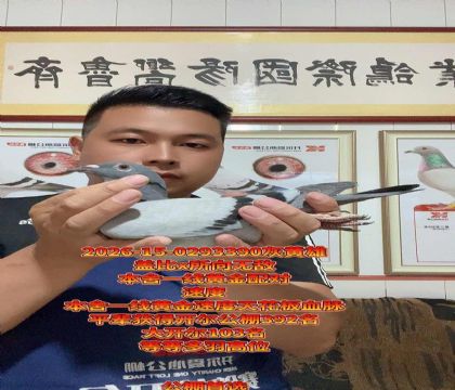 ��������ʵս���壡�����޵��컨��
