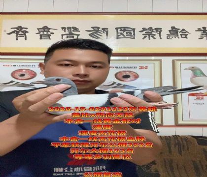 ��������ʵս���壡�����޵��컨��