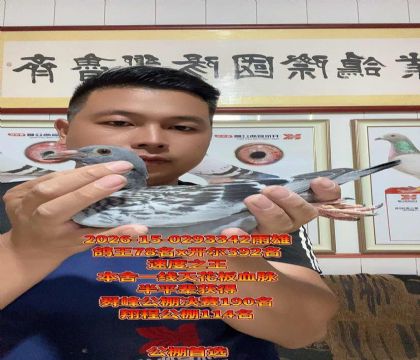 ���ظ���78��x�����������392��