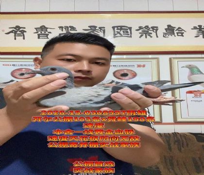 ��������103��x˴�幫��190�����ٶ�