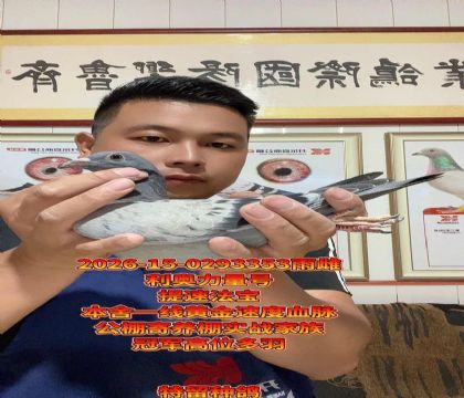 ���ٷ��������������ţ�