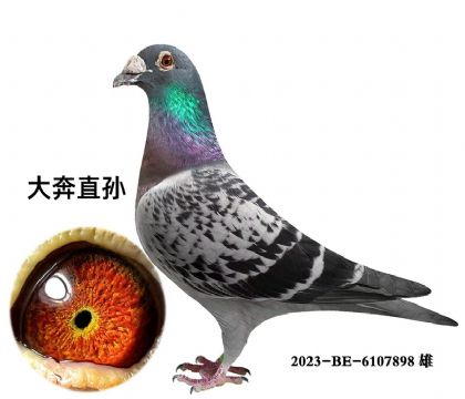 大奔直孙