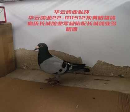 ��ȱ�������Ȧ