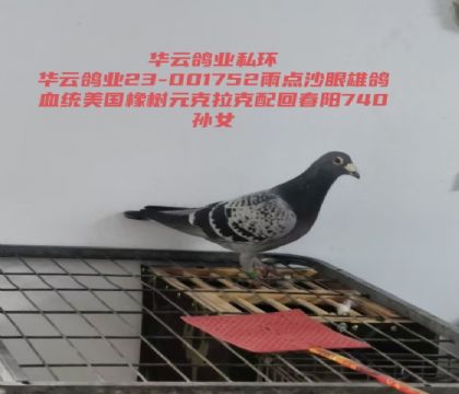 ��������԰��ش���740��Ů
