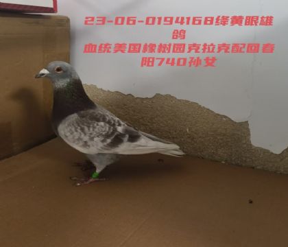 ��������԰��������ش���740��Ů