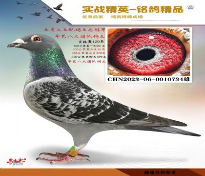 ����֮��������ھ�