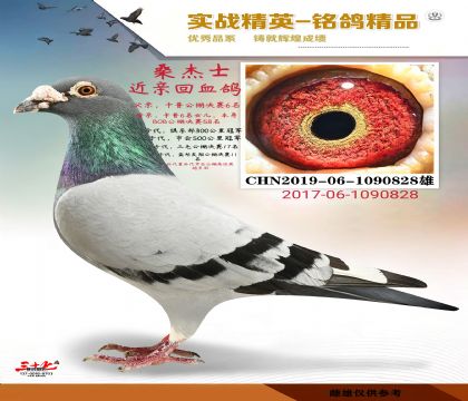 ɣ��ʿ���׻�Ѫ