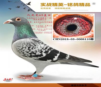 ������63ֱŮ