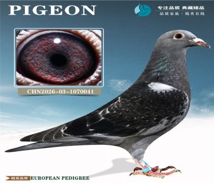 ������߱��֡�С�Ͽ���X³��ֱŮ��